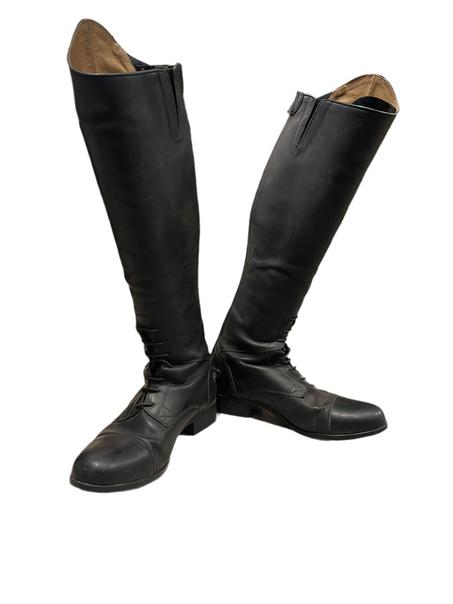 Ariat, Women's Tall Riding Boots