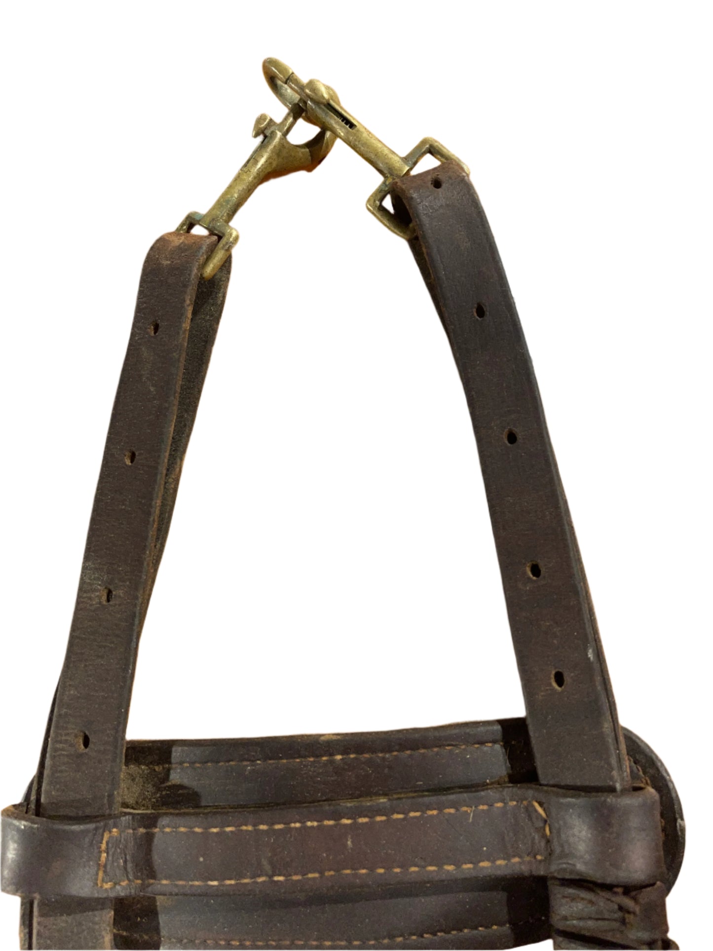 Horse Sized Cruppers