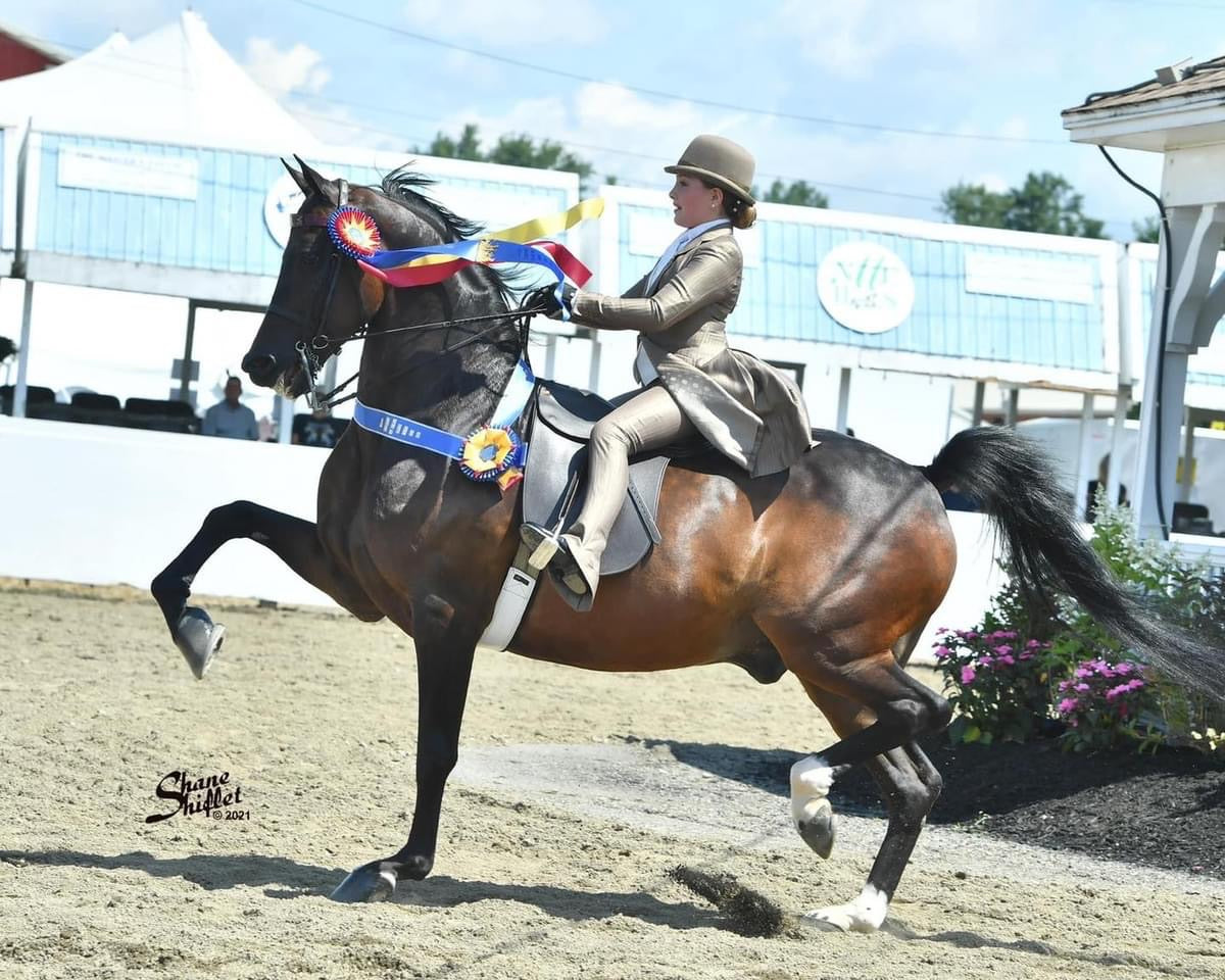 Hawkewood, Youth Day Suit