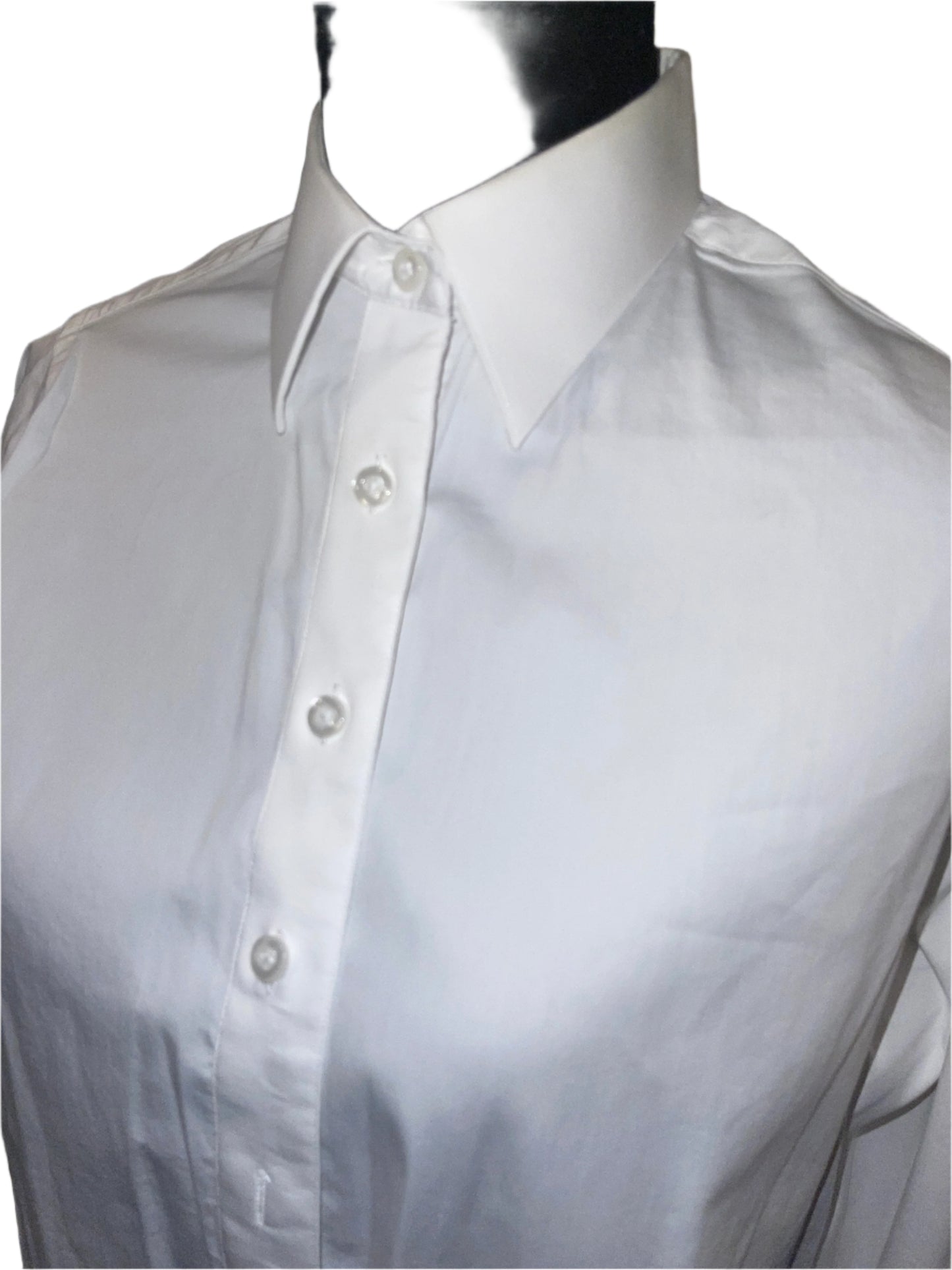 Bleu, Custom Ladies Show Shirt