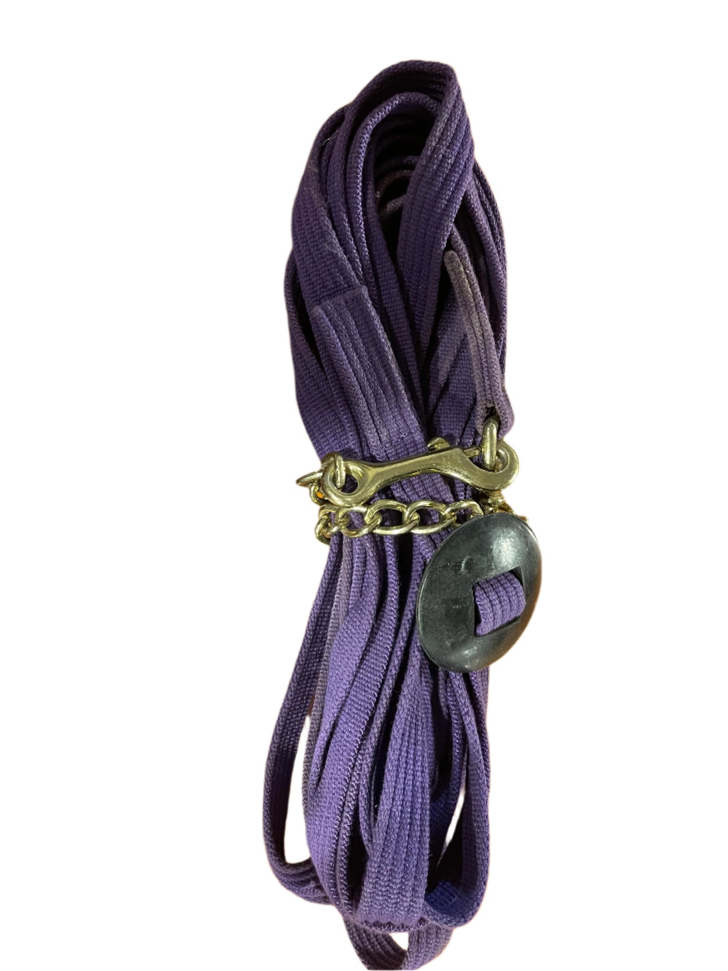 Purple Chain Lunge Line