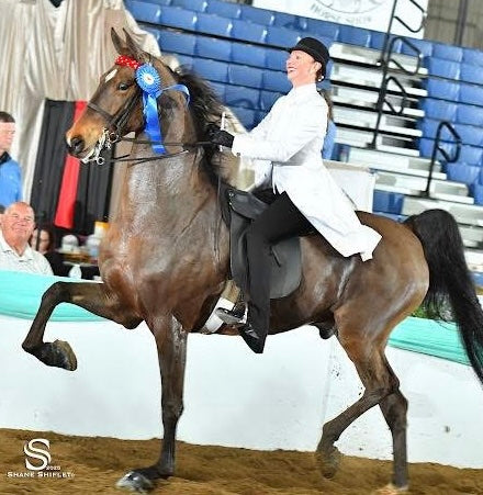 Show Season, Custom Cream Day Coat