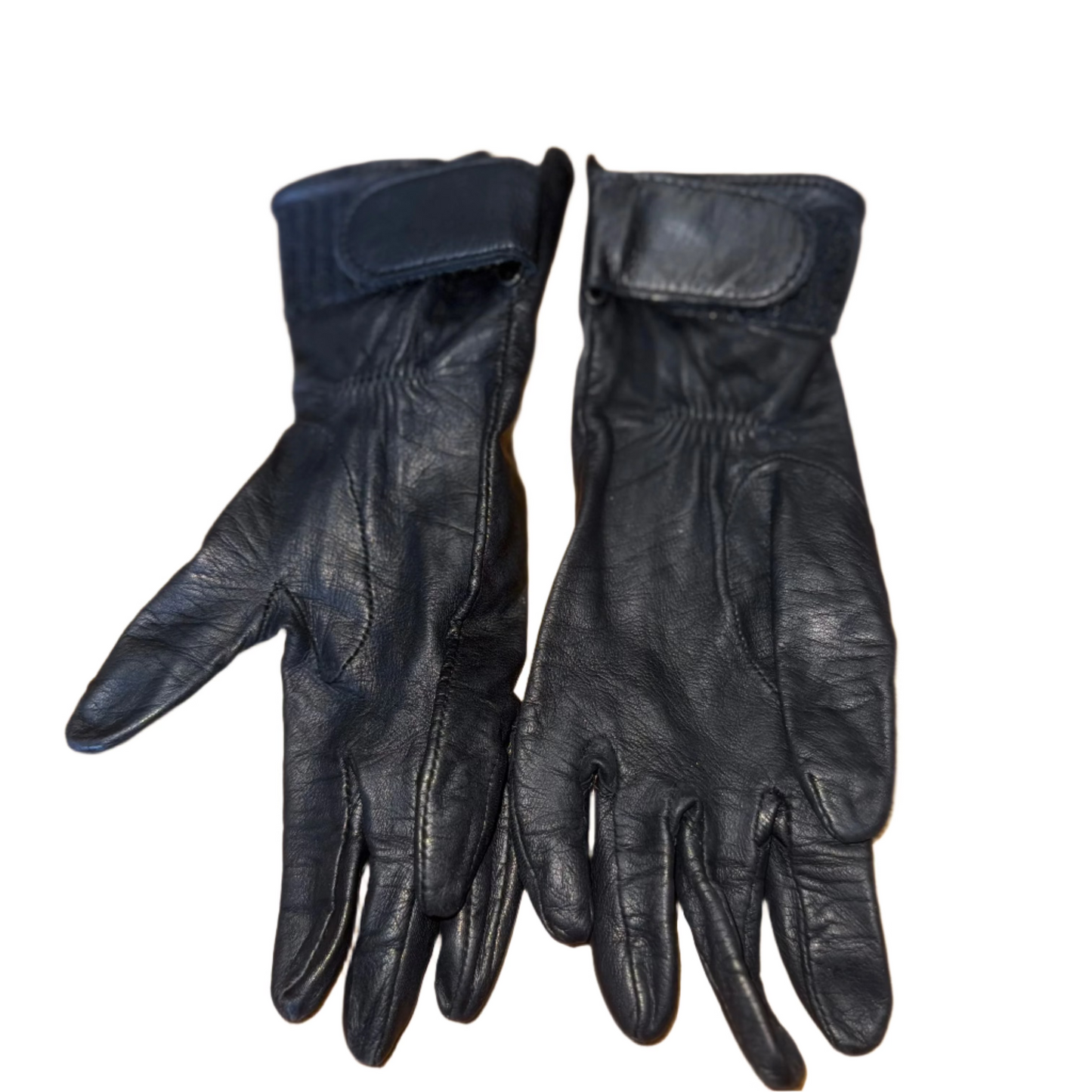 Chester Jefferies, Ladies Medium, Show Gloves