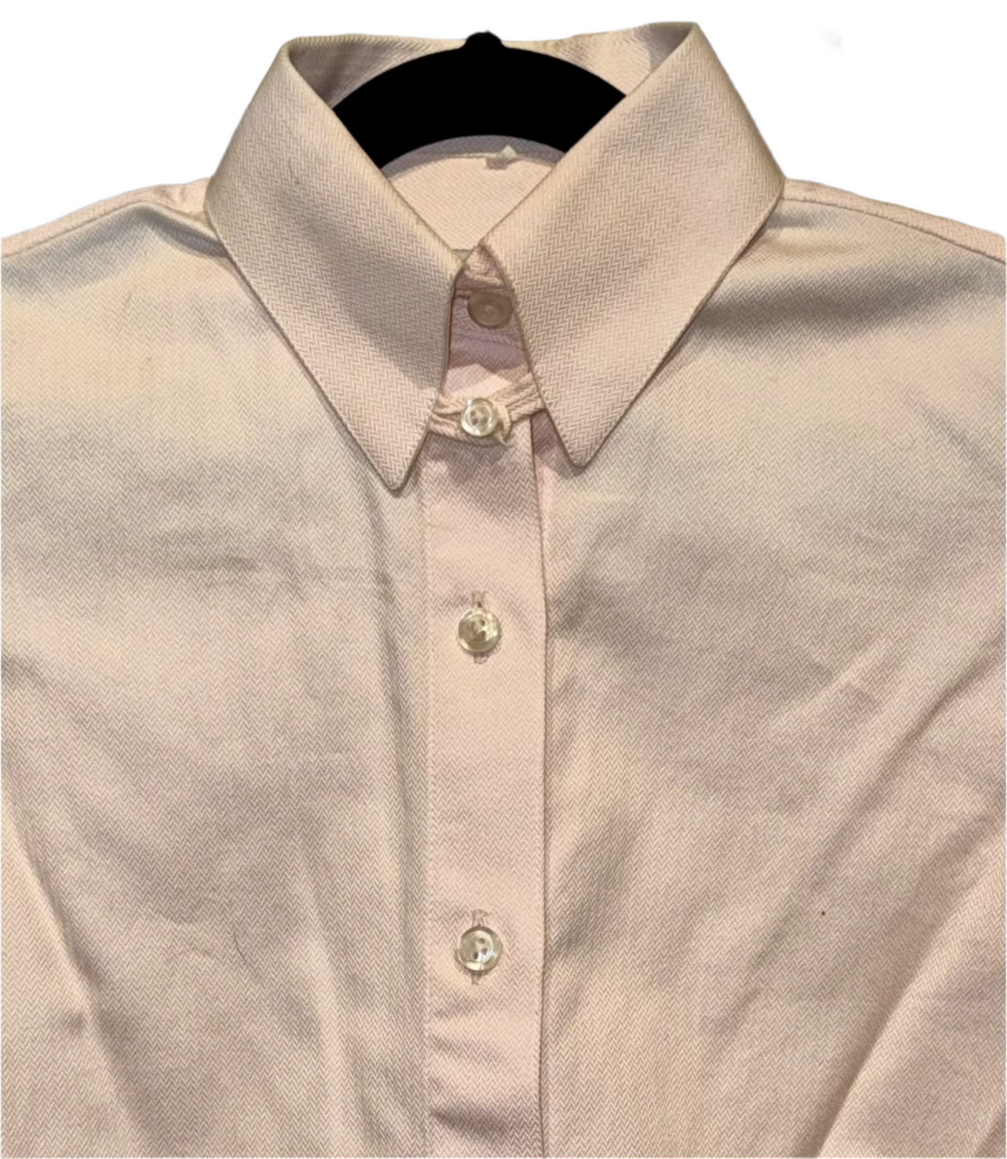 Marsha de Arriaga, Youth Show Shirt