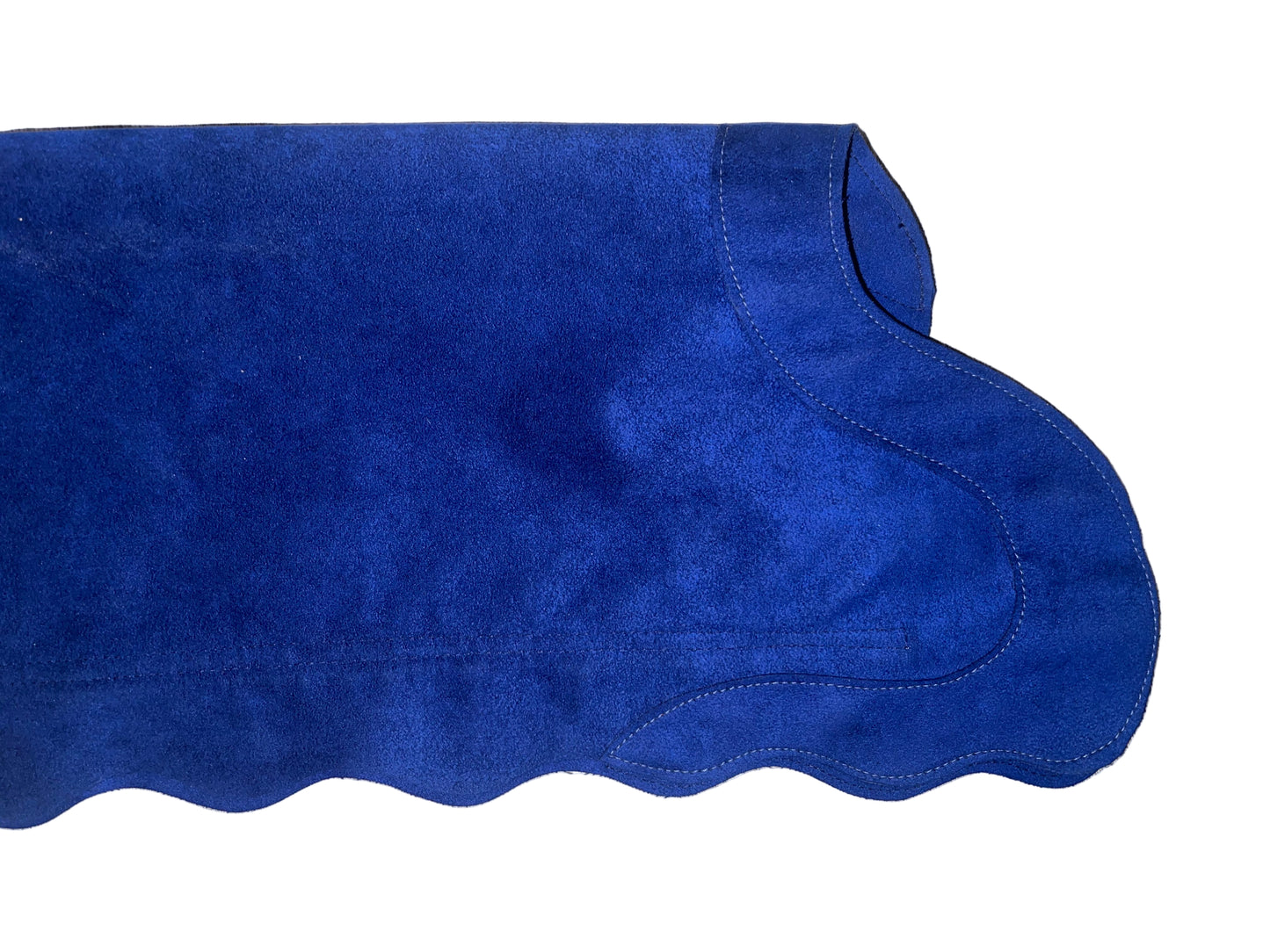 Show Season, Custom Blue Chaps and Pants