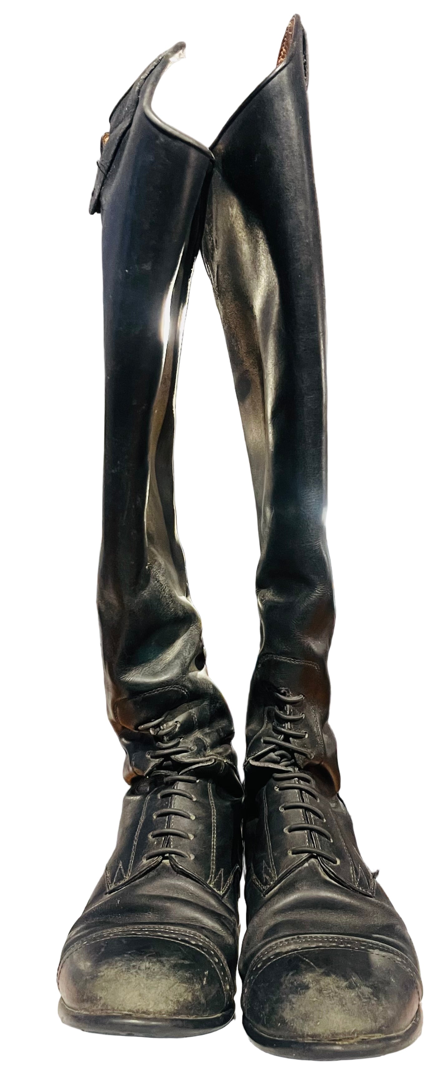 Ariat, W: 8.5B, Tall Boots