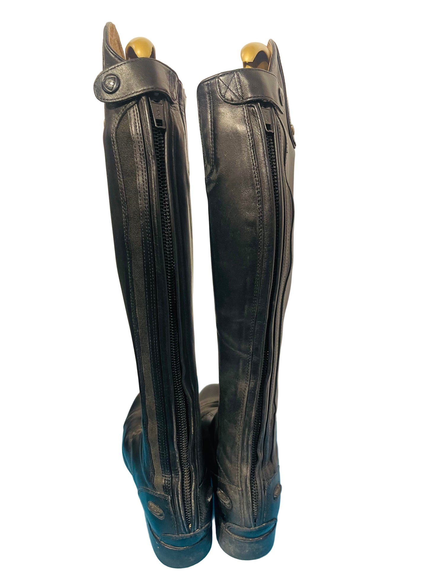 Ariat, Ladies 6B, Short, Calf reg