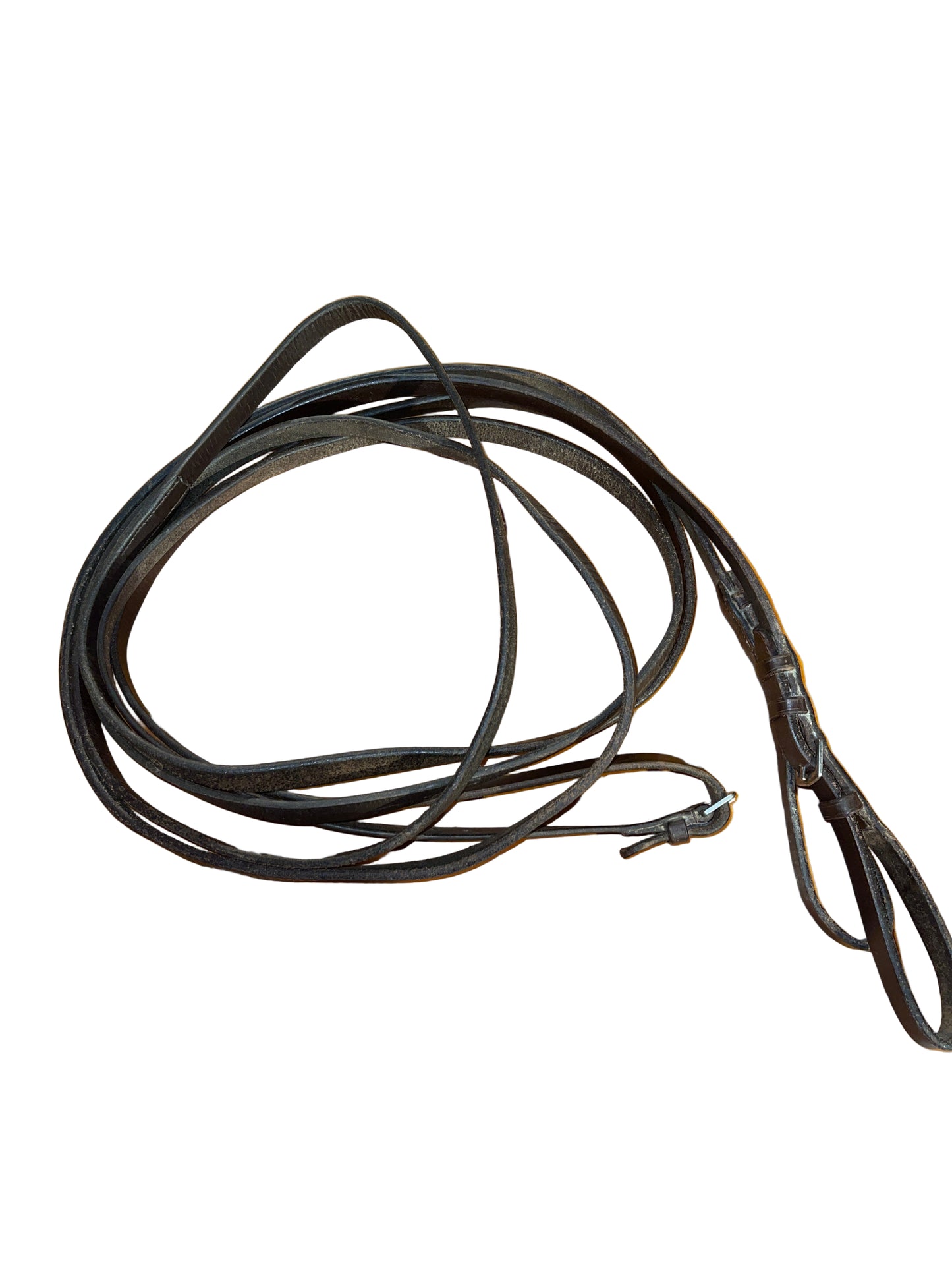 Brown Driving Reins