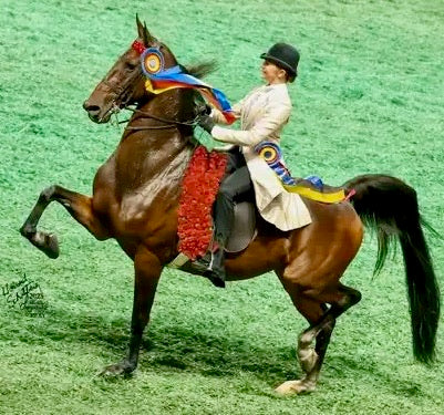 Show Season, Girls/Teen Day Coat