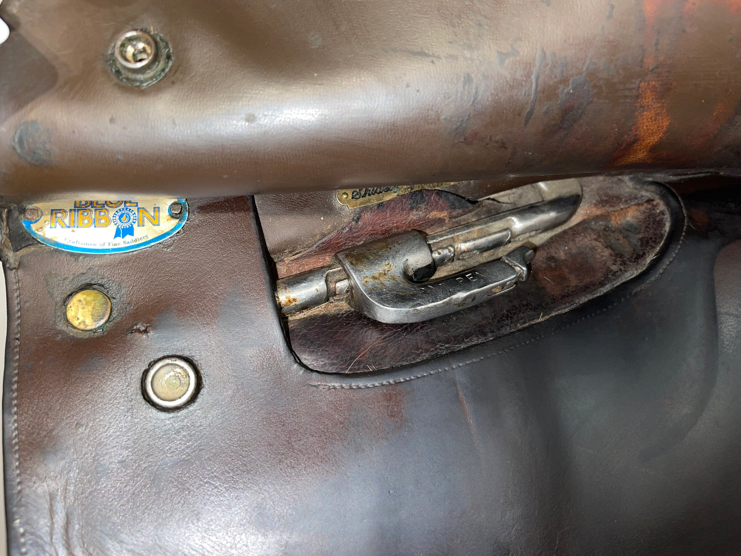 20.5in Blue Ribbon Cutback Saddle with Adjustable Bar