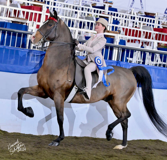 Hawkewood, Custom, Youth Day Suit