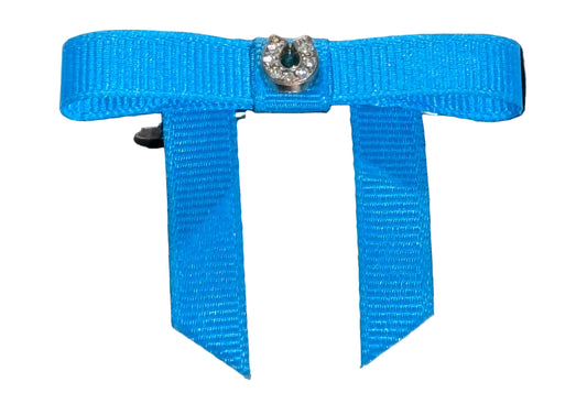 Teal Horseshoe Bun Bow