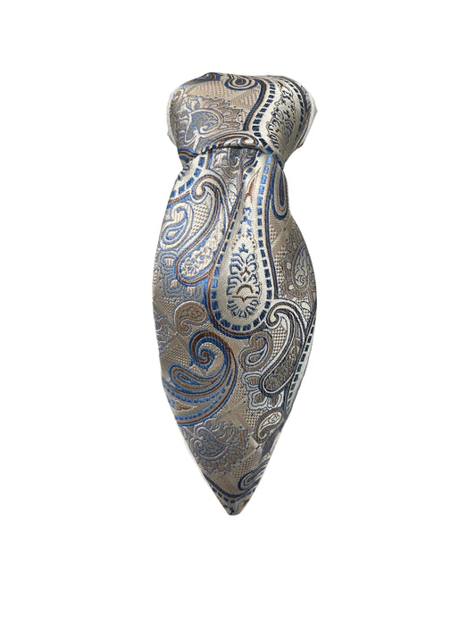 Taupe and Blue Paisley Tie