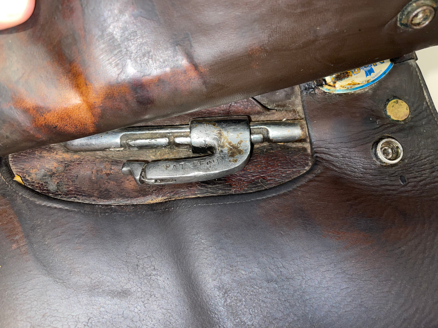 20.5in Blue Ribbon Cutback Saddle with Adjustable Bar