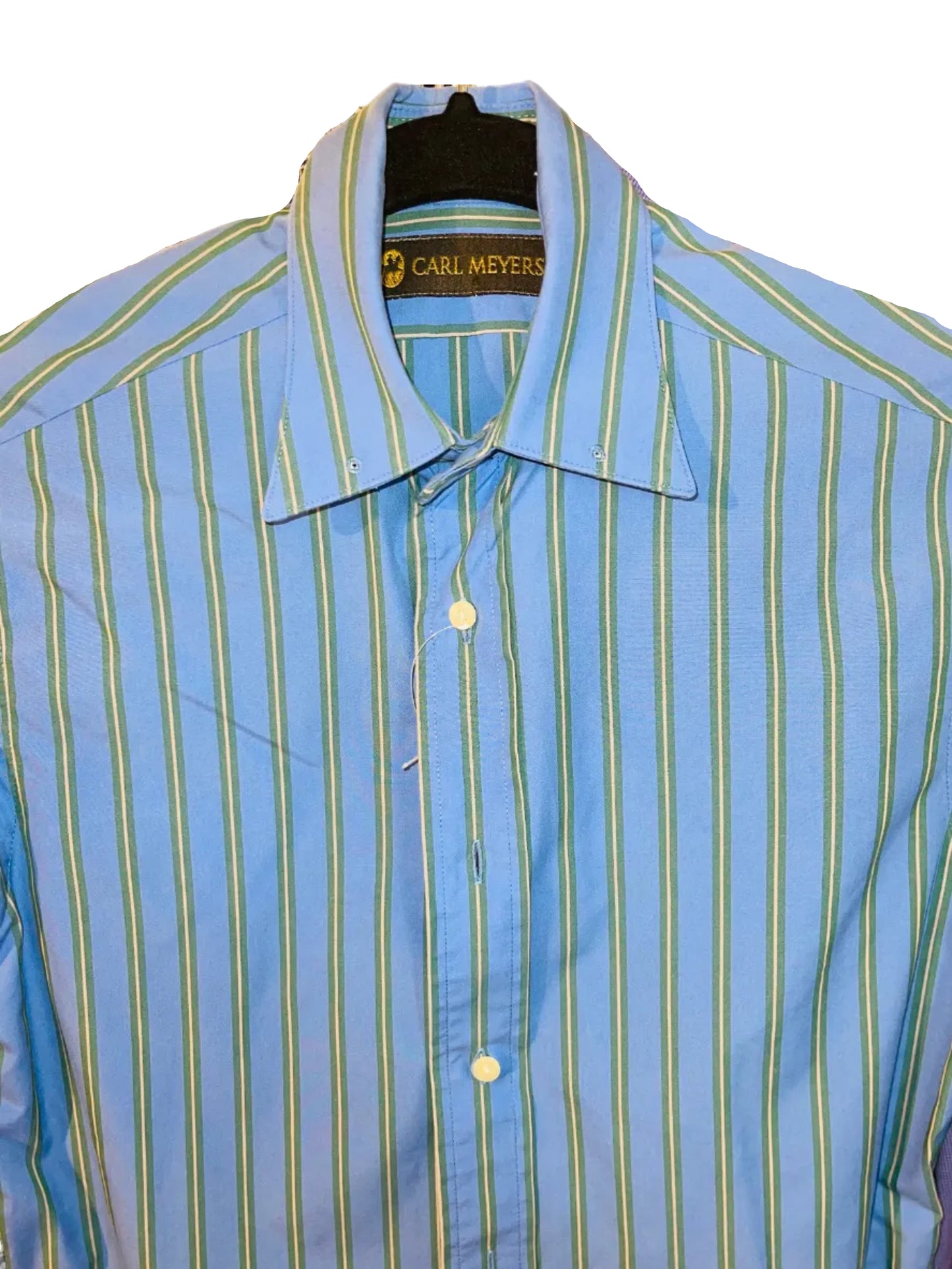 Carl Myers, Blue with Green Stripe Shirt