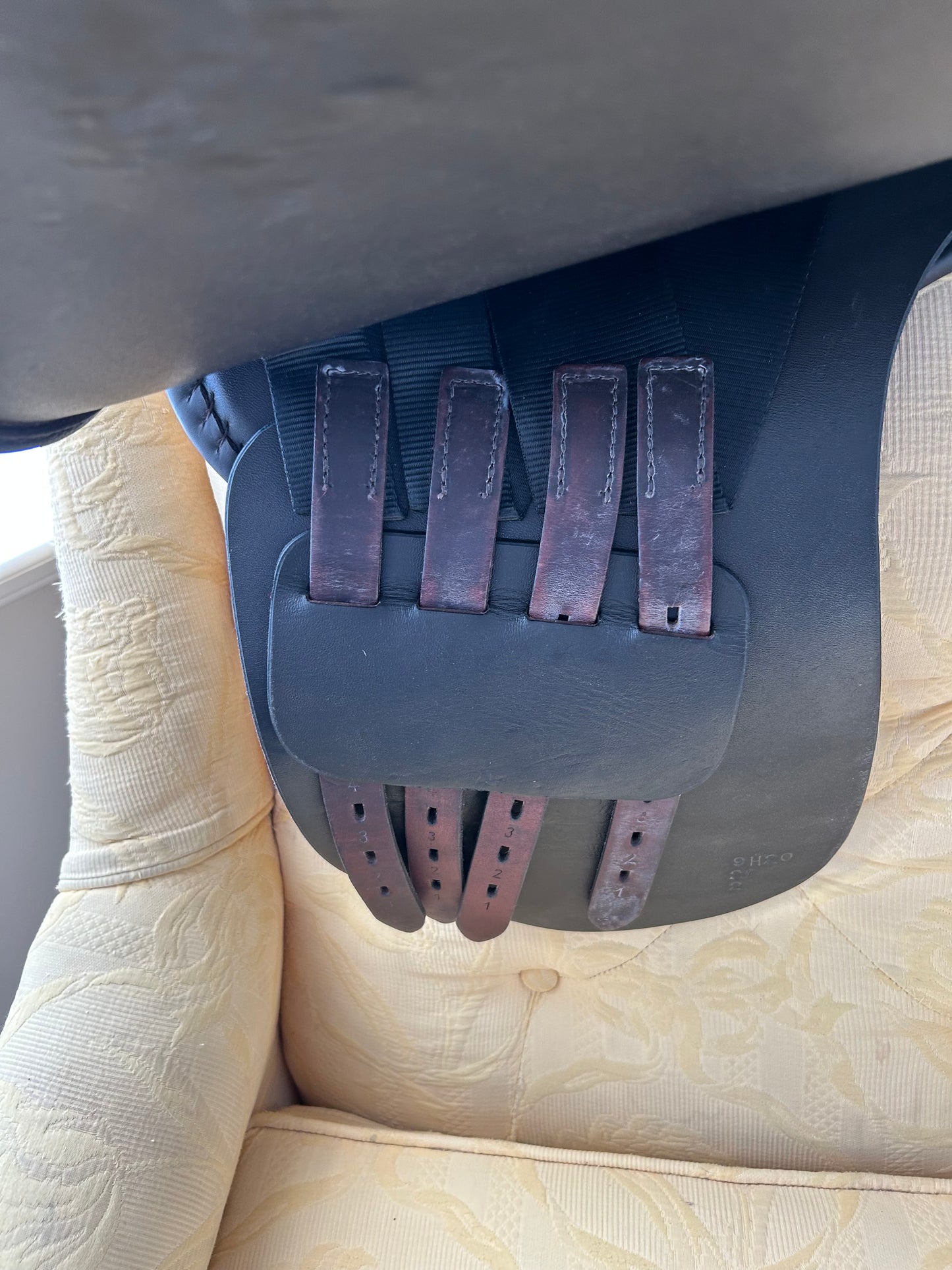 Freedman's, 21", World Cup HP Saddle