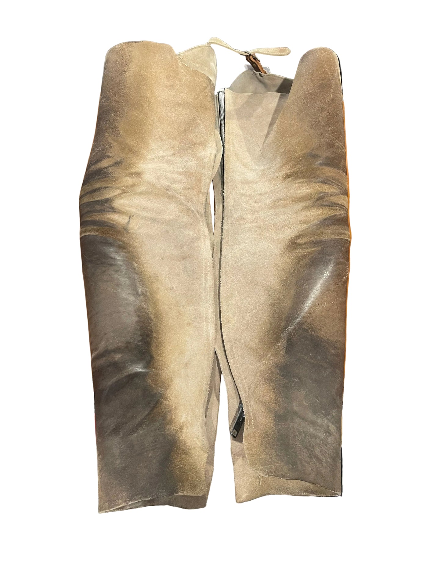 Barnstable, Tan Chaps