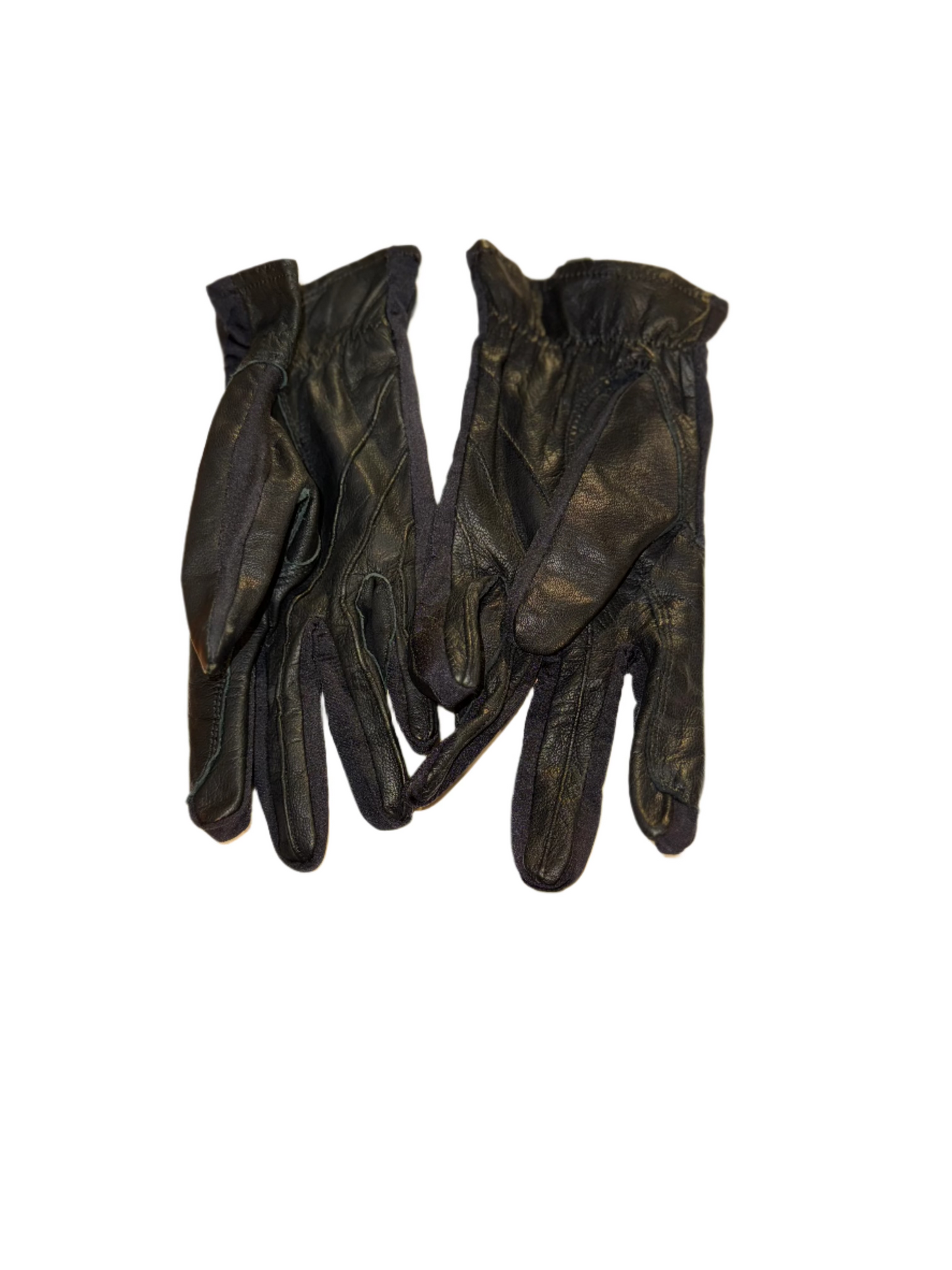SSG, Size 10, Riding Gloves