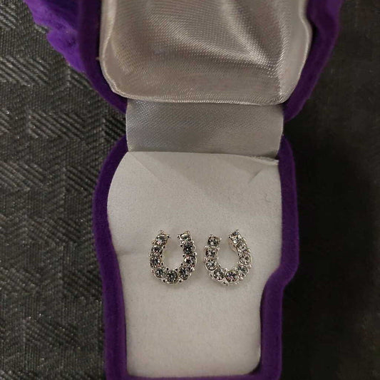 Rhinestone Horseshoe Earrings with Horse Head Box