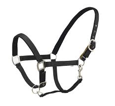 Centaur, Cushion Breakaway Halter