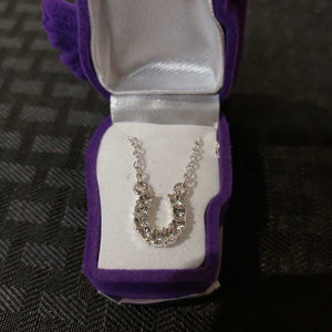 Rhinestone Horseshoe Necklace with Horse Head Box